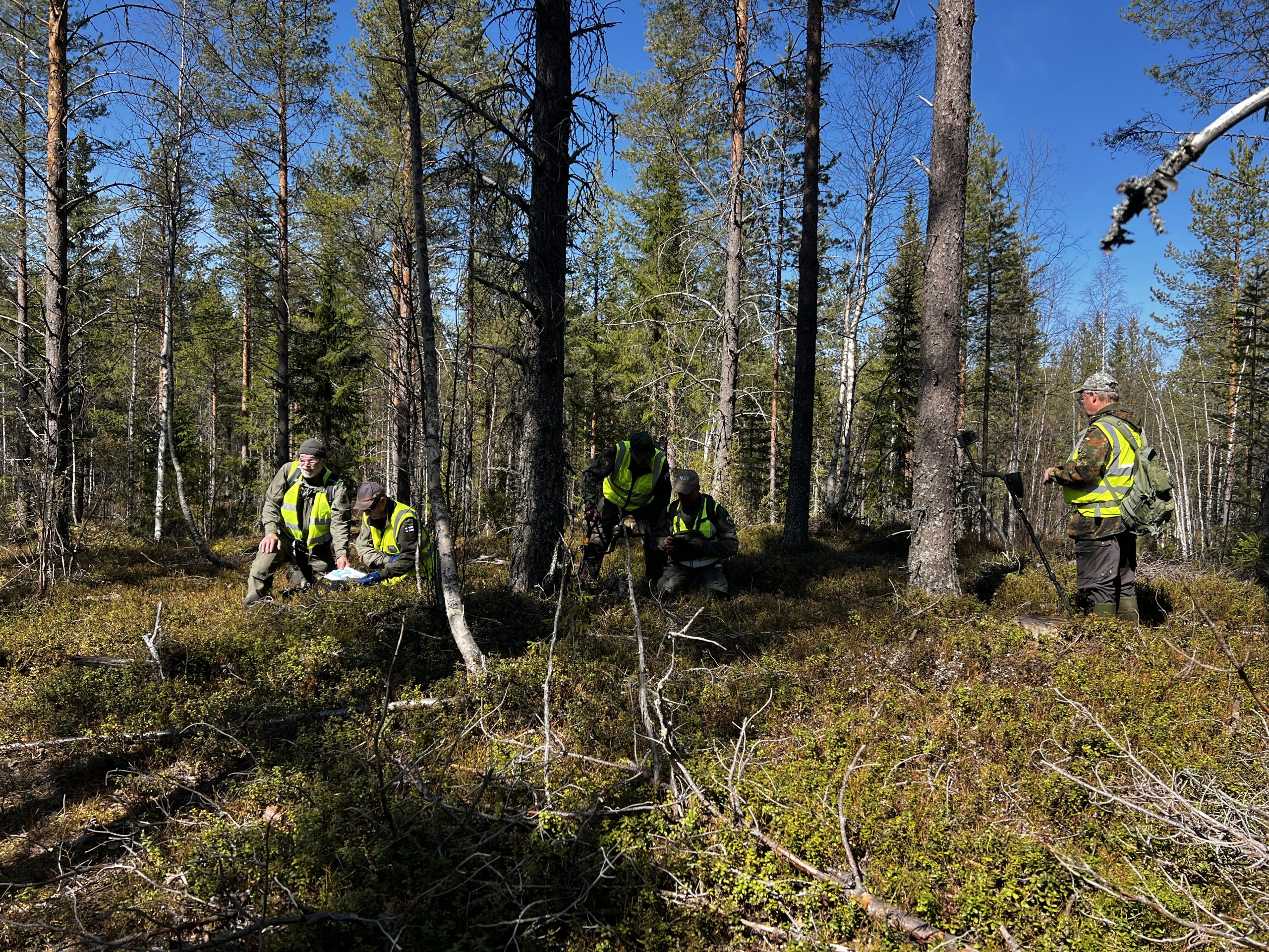 Neljä sotavainajien etsintäryhmän etsijää aloittelevat etsintää metsässä huomioliiveissä.