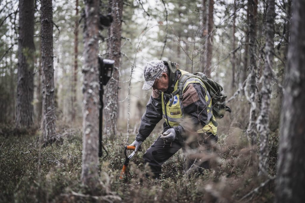 Kaivuutyötä metsässä lapiolla. Taustalla on metallinpaljastin.